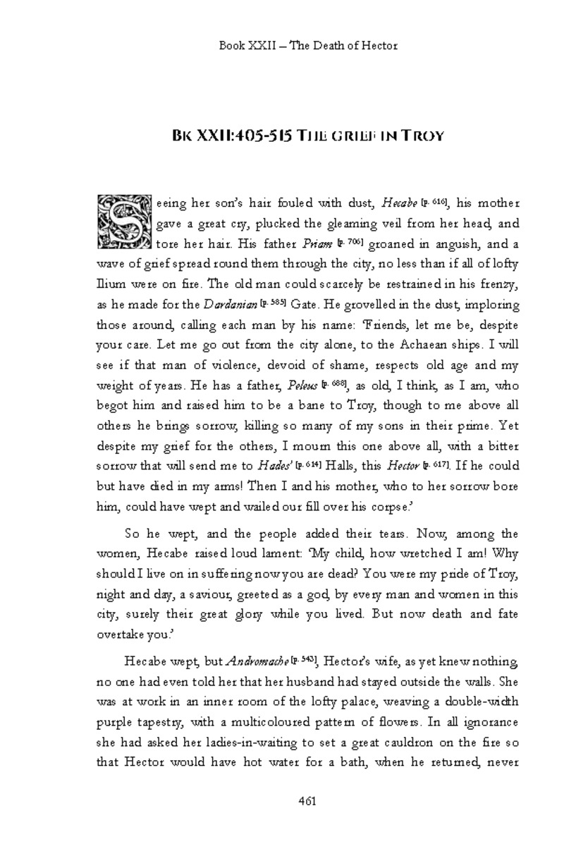 The Iliad - Page 455